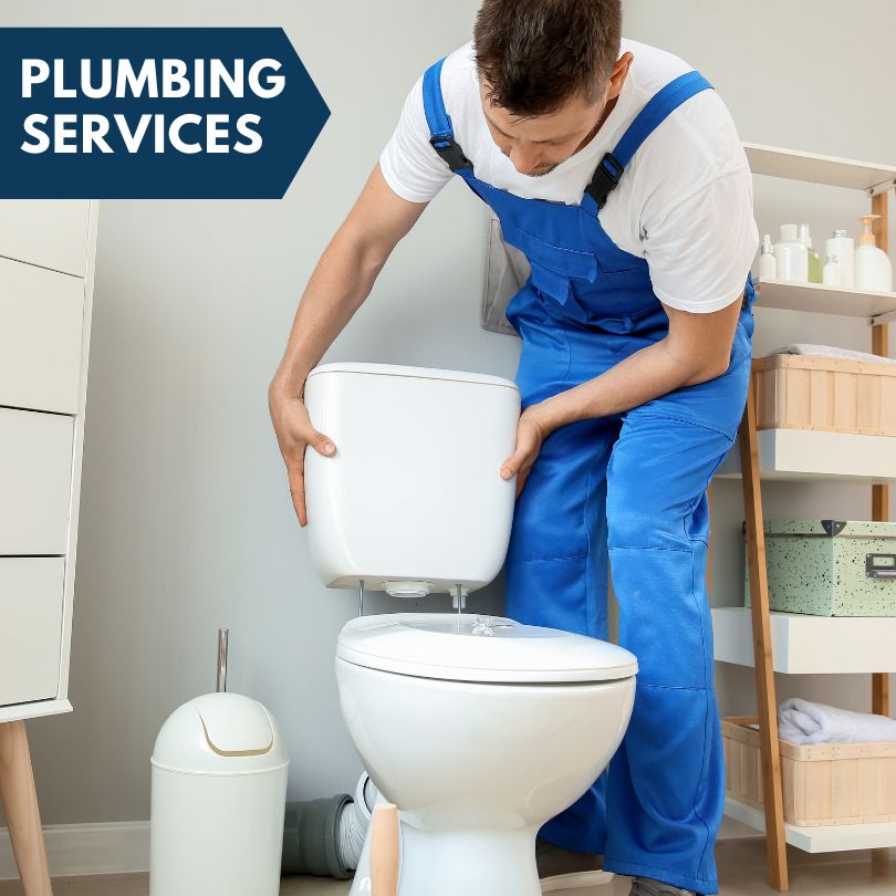 Plumbing Company in Bluford, IL